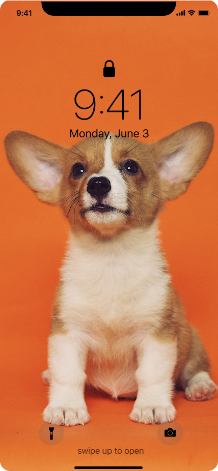 Screen1